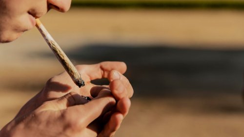 Wie gefährlich ist Cannabis für die Jugend?