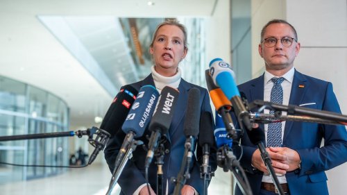Dieser Anti-AfD-Reflex ist leider der falsche