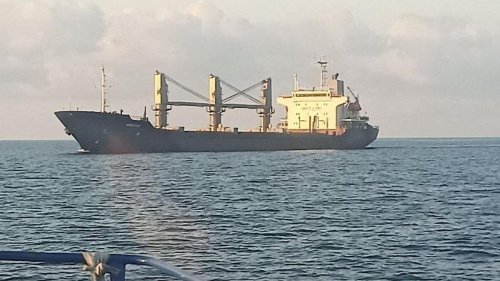 Zweites Getreideschiff aus Ukraine schafft es nach Istanbul