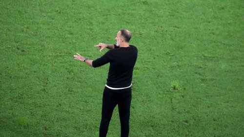 Für Hoffenheim verzichtet Matarazzo auf Ruhm in den USA