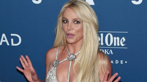 Fans von Britney Spears rufen die Polizei
