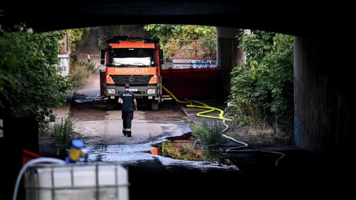 Feuerwehr kämpft gegen neuen Brand im Grunewald