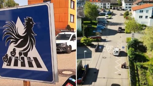 Hühner bekommen eigenes Verkehrsschild - ist das legal?
