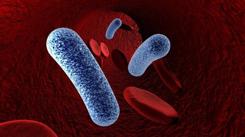 Tödlichen Bakterien dürstet es nach Menschenblut