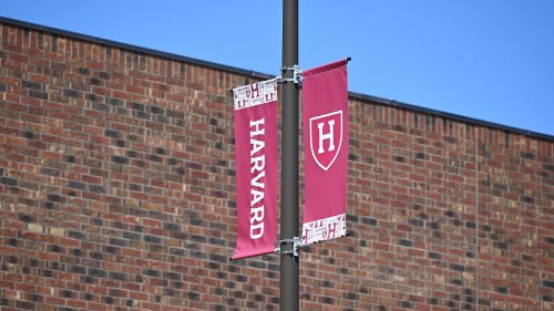 Bundesregierung verurteilt Trumps Harvard-Erlass