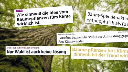 Wenn Klimaschutz zu Marketing verkommt
