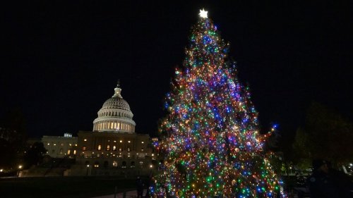 Sturm wirft Nationalen Weihnachtsbaum um