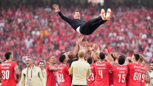 Wie Roger Schmidt Benfica Lissabon wiederbelebt hat