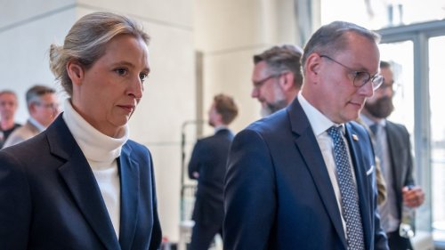 Parteien lassen AfD-Kandidaten für Ausschüsse durchfallen