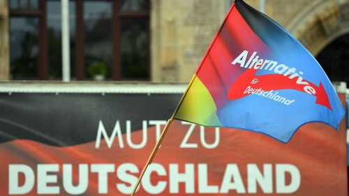 AfD zieht mit "Stolz-Pass" viel Kritik auf sich