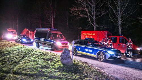 Zweijähriger nach stundenlanger Suche im Wald gefunden