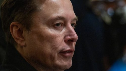 "Schattenpräsident" Musk wird zur Last - und zieht sich zurück