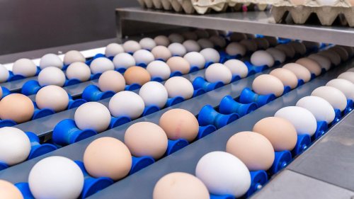 Braune Eier verschwinden schrittweise aus Supermärkten