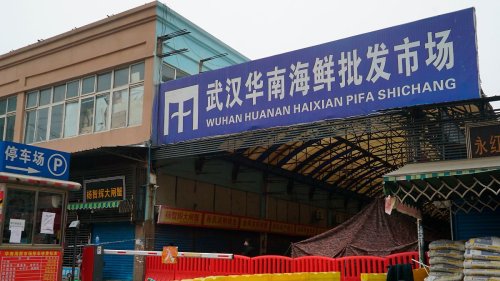 Studie: Wildtierhandel brachte wohl Corona nach Wuhan