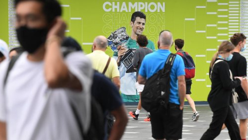 Tennis Australia entschuldigt sich wegen Djokovic