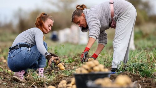 EU schmettert russische Bedingung für Waffenruhe ab