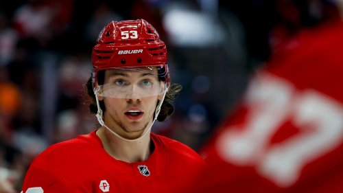 Nationalmannschaft bekommt Verstärkung aus der NHL
