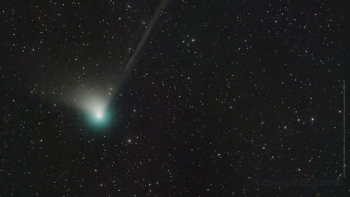 Wie man den grünen Kometen am besten sieht