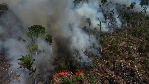Warum Wälder immer häufiger brennen werden