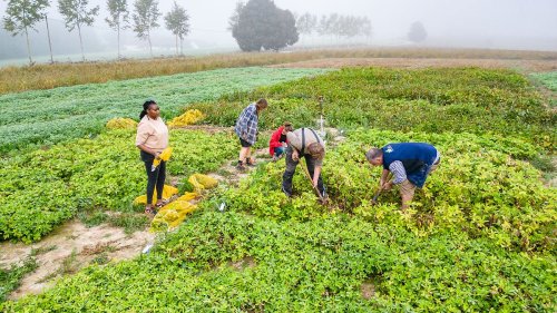 Bauern auf der ganzen Welt klagen über Klimawandel