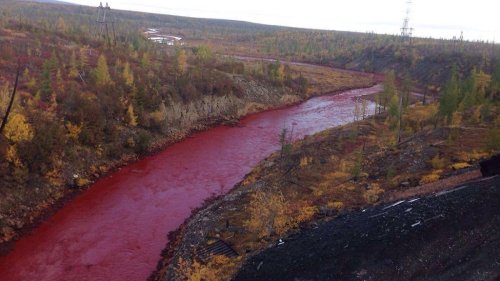 Russischer Fluss färbt sich blutrot