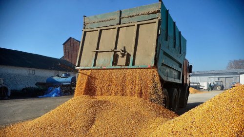 Slowakei und Ukraine einigen sich auf Getreideimport