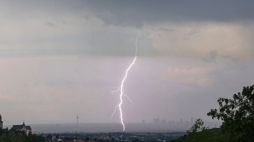 Baum fällt auf Mutter und zwei Kinder