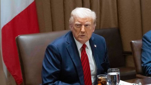 Was Trump trotz "überschaubarem Intellekt" verstanden hat