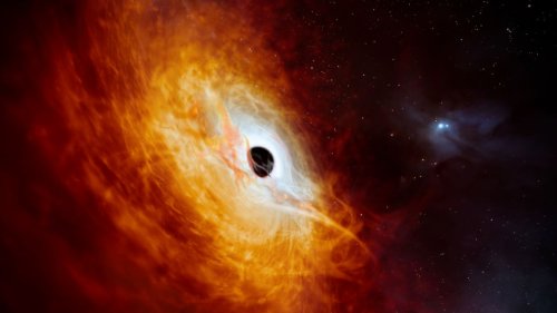 Astronomen entdecken wohl hellstes Objekt im Universum