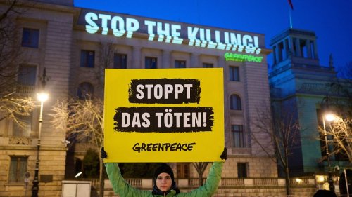 Greenpeace projiziert Forderung an russische Botschaft