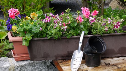 So wird der Balkon fit für den Frühling