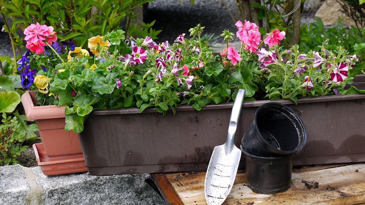 So wird der Balkon fit für den Frühling