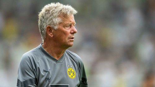 Co-Trainer Hermann hört beim BVB sofort auf