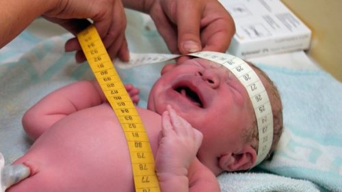 Ist Intelligenz schon bei Neugeborenen ablesbar?