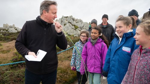 David Cameron knabbert an Grashalm auf den Falkland-Inseln