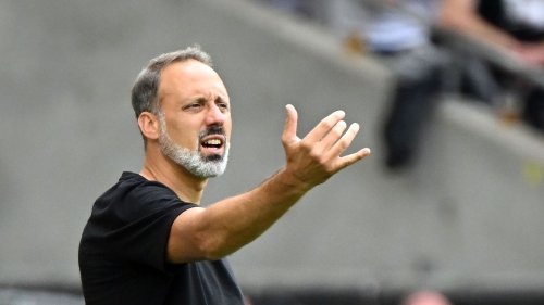 Hoffenheim hat offenbar neuen Trainer gefunden