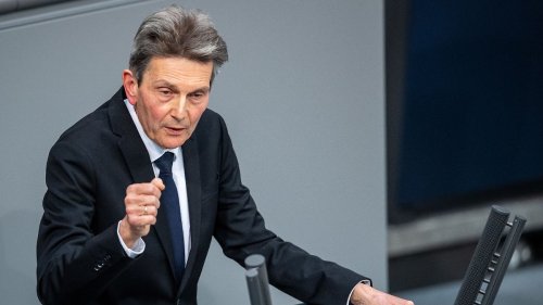 Mützenich kritisiert Verfassungsrichter