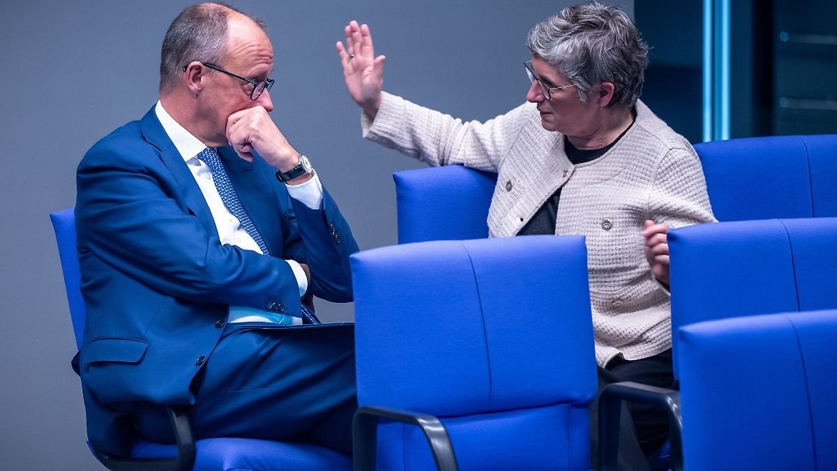 Merz bereut Mailbox-Nachricht an Haßelmann