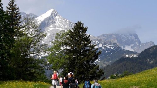 Wanderer nach vier Tagen im Wald gefunden