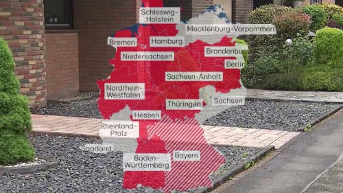 Warum Schottergärten fast überall verboten sind