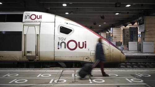 Pariser Zug teilt Hauskatze in zwei Hälften