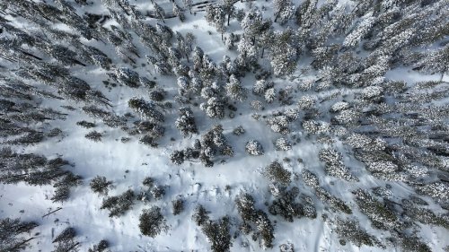 Vermisste Wanderin überlebt wochenlang in eisiger Wildnis
