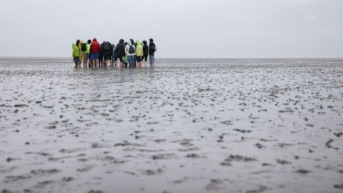25 Wattwanderer aus Seenot vor Amrum gerettet