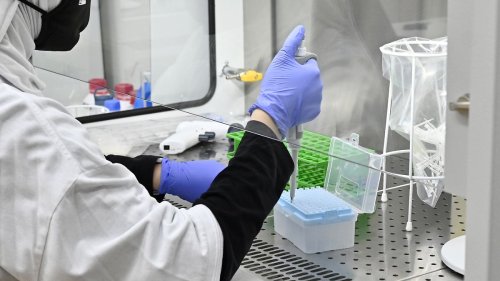Das Geheimnis hinter Wiens PCR-Erfolg