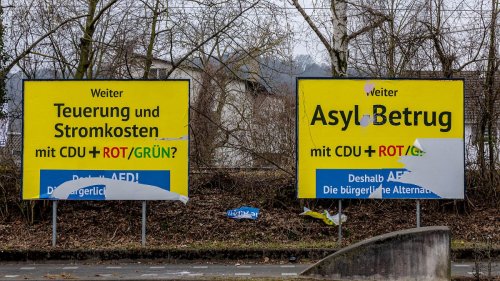 AfD hinterlegt Millionenbetrag bei Bundestagsverwaltung