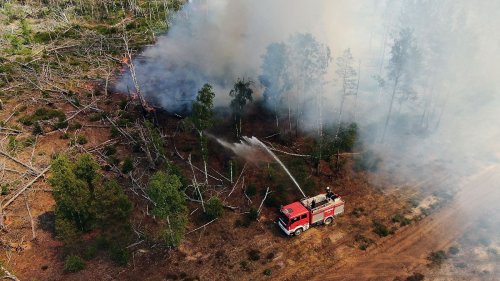 Waldbrand bei Jüterbog wird immer größer