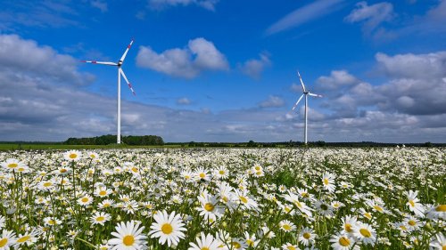 Stromkosten für Wirtschaft laut Studie bald unfinanzierbar