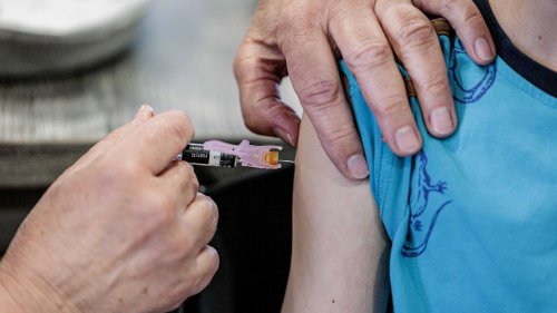 Risiko für Rückkehr ausgerotteter Krankheiten in den USA steigt