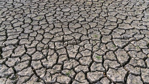 14-facher Ertrag für Investitionen in Klimaschutz, Lachen auf Rezept