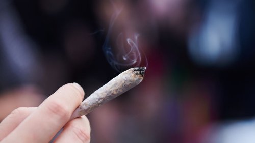 Ampel entschärft Cannabis-Gesetz